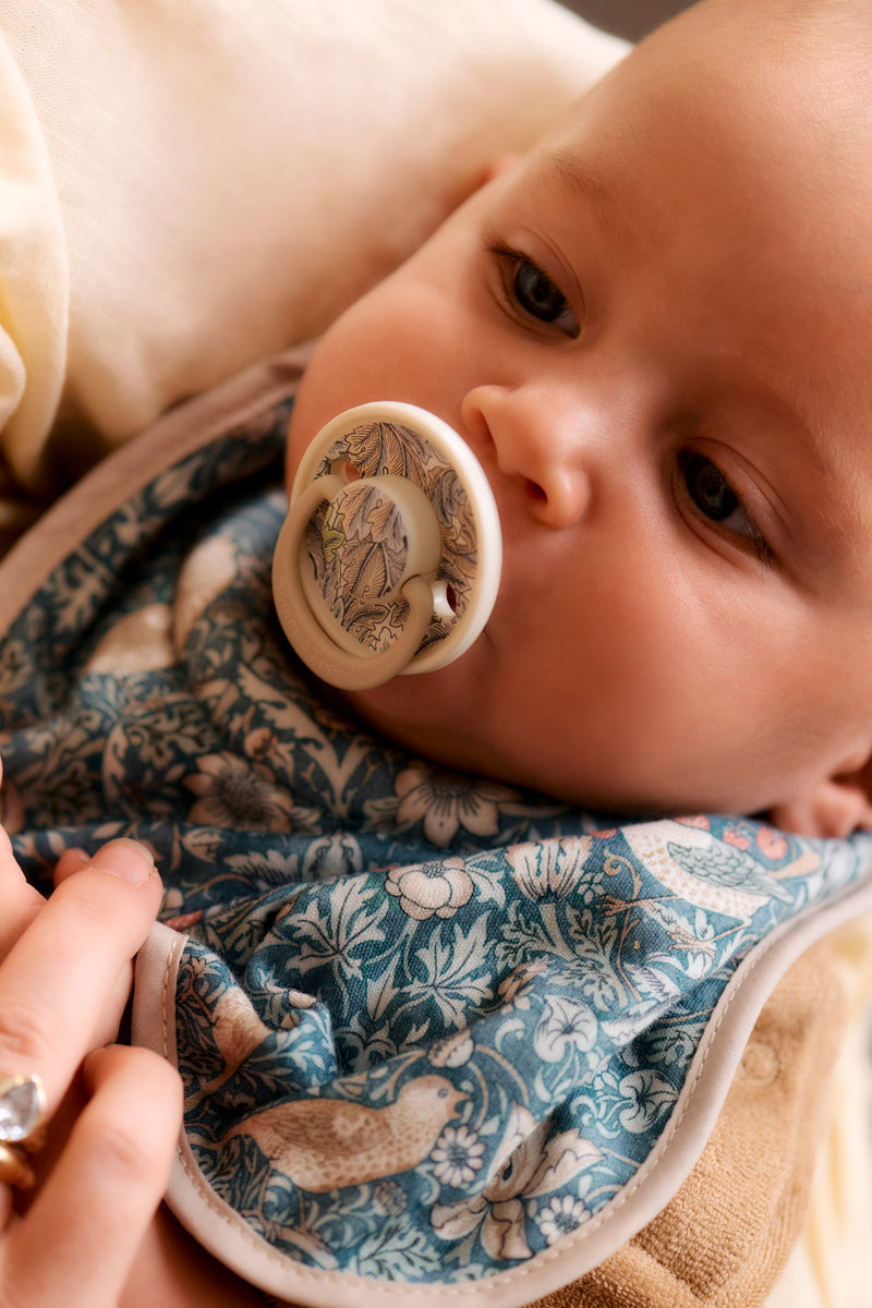 baby with soother in mouth and bib on