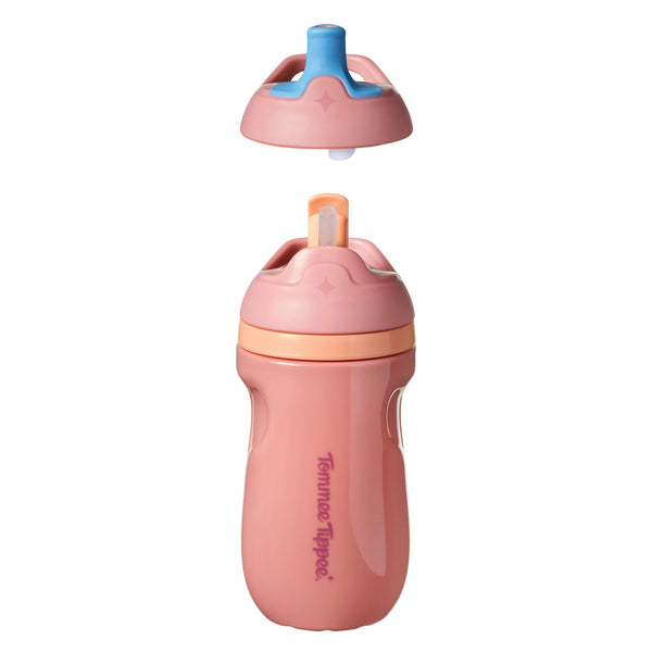 Insulated Sporty Spout and Straw Cup against a white background