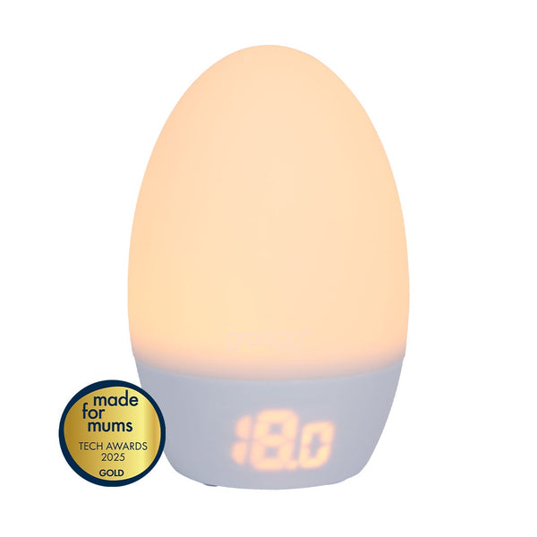 Groegg on white background