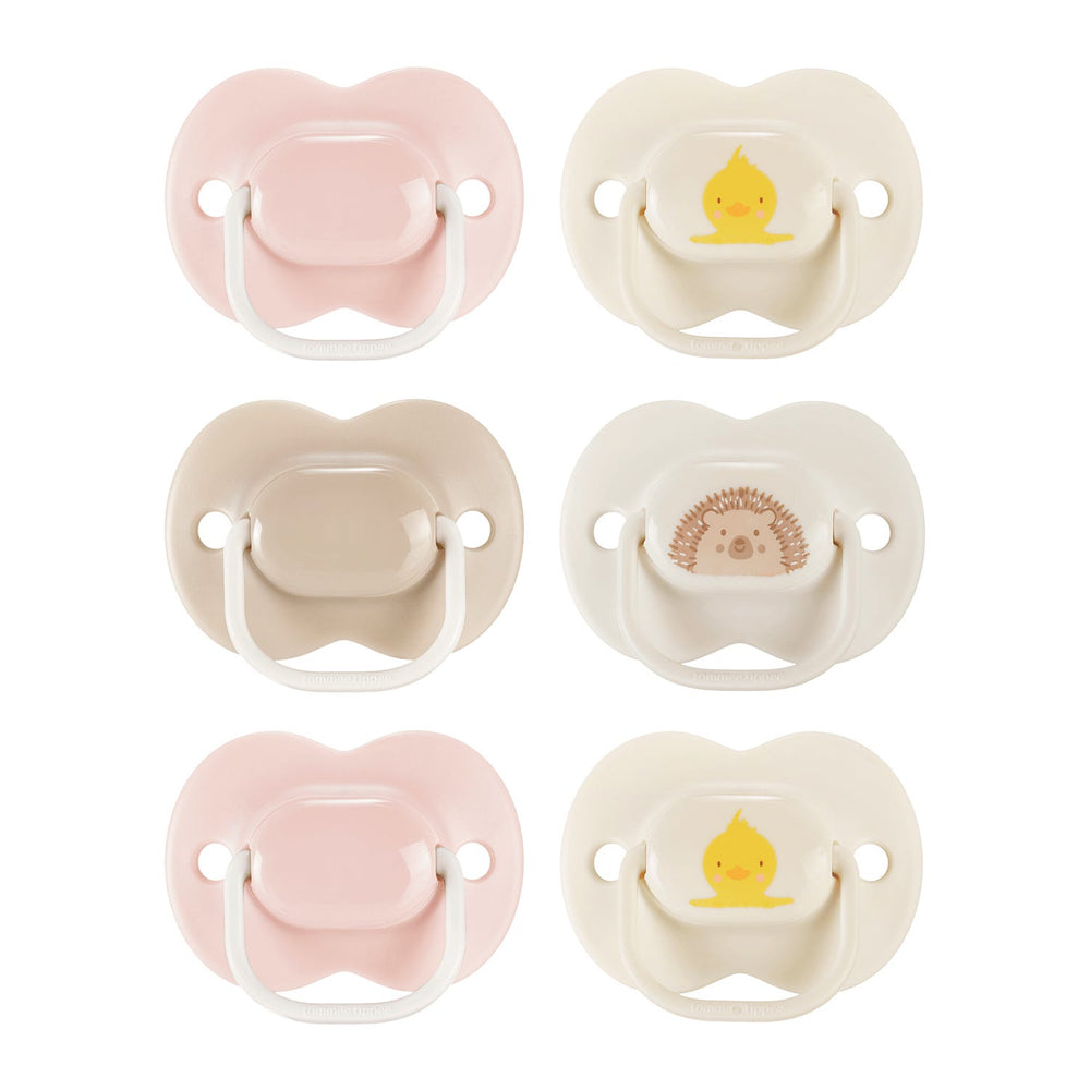 Sucettes sur fond blanc