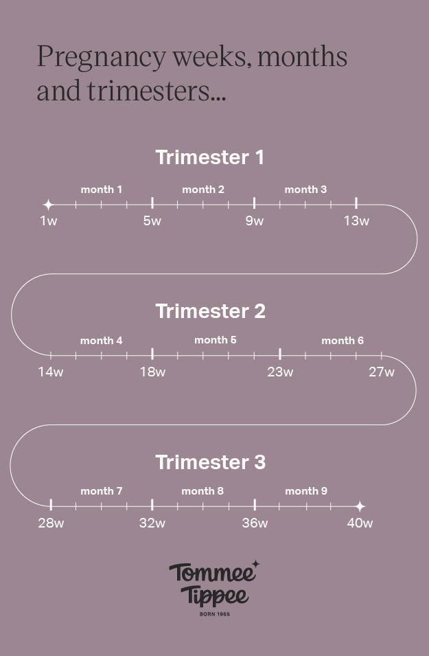 A Super Simple Guide to Pregnancy Trimesters by Weeks | Tommee Tippee UK