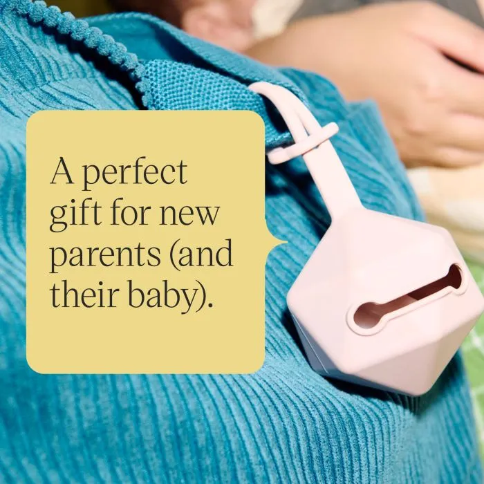 Close-up of the carry case attached to a bag strap with text about being the perfect gift.