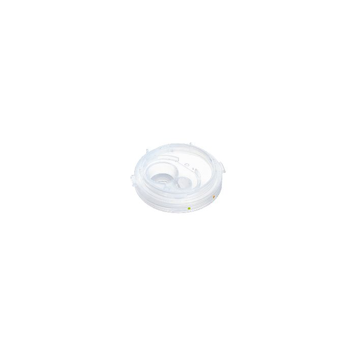 Lower lid