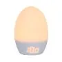 Groegg on white background