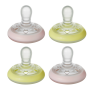 Pacifiers on a white background
