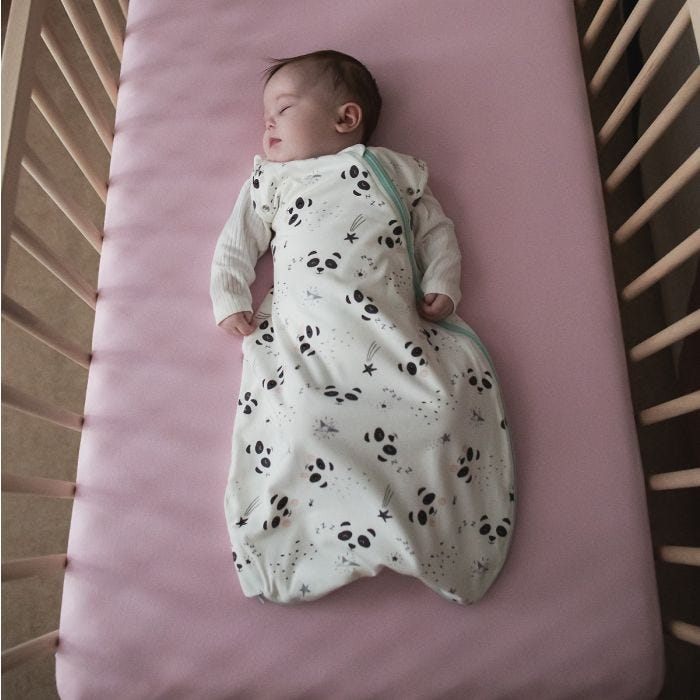 Baby sleeping in The Original Grobag Little Pip Snuggle