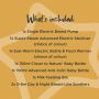 Infographic of a what’s included list of the bundle contents