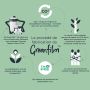 Organigramme de la fabrication de l&apos;eco GREENFILM et de son amélioration pour l&apos;environnement