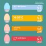 Groegg 2 infographic