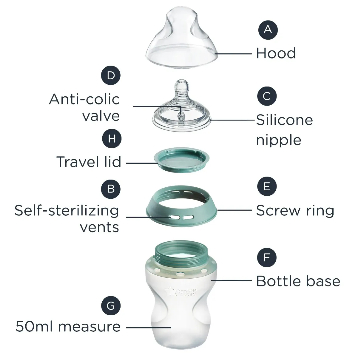 Tippee tommee nipple sizes top