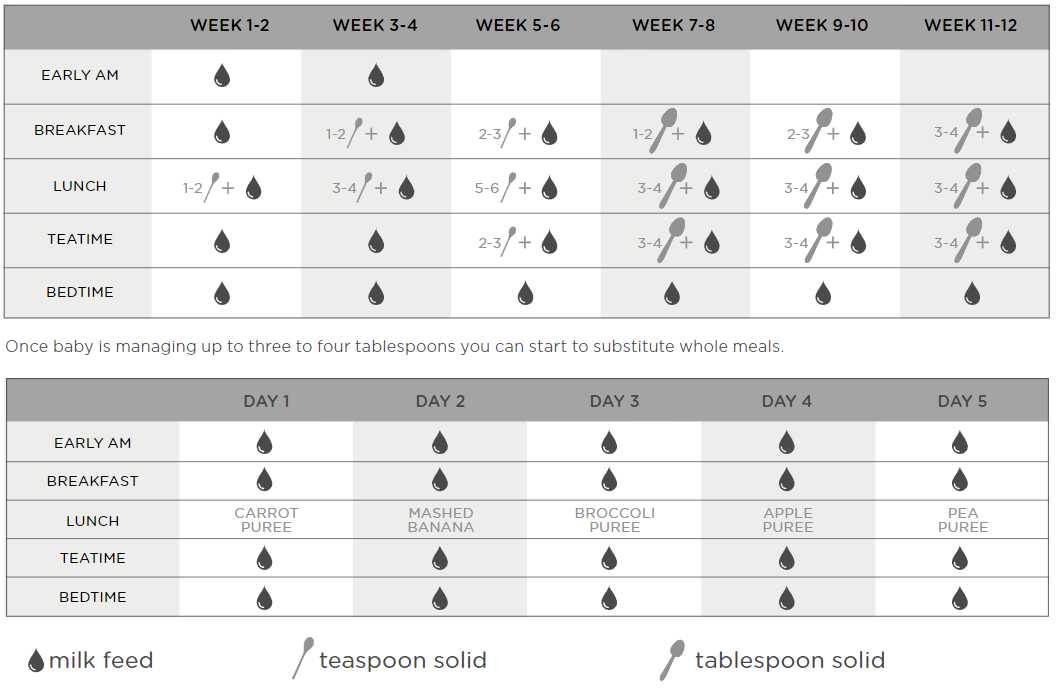 Table outlining different weaning stages